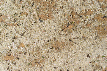 Sand texture. Top view. Close up