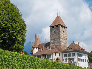 Fototapeta premium tourist resort Spiez, historic castle in summer