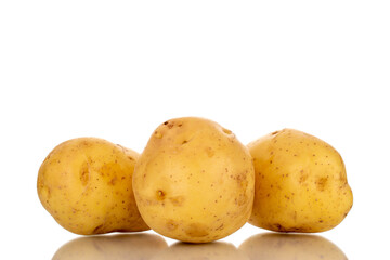 Three raw organic potatoes, close-up, isolated on a white background.