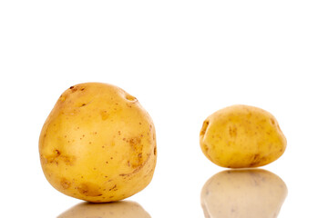 Two raw organic potatoes, close-up, isolated on a white background.