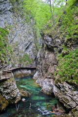 Slovenia Vintgar Gorge