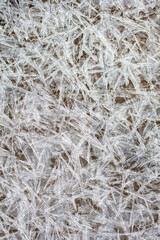 겨우내 얼었다 녹았다 다져진 기하학적 무늬의 얼음