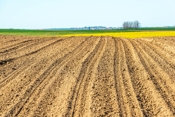 Fields cultivated in early spring in countryside.