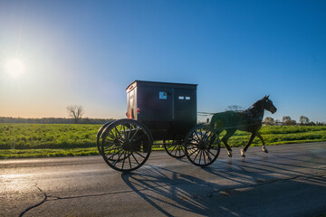 Fototapeta na wymiar Amish buggy early morning on rural road