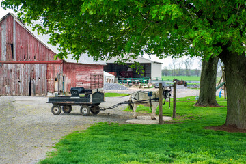 Pony and pony cart hitched to rail at Amish House