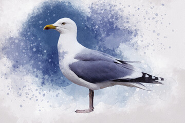 Watercolor seagull hand drawn illustration. Bird illustration.