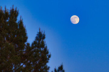 Mond