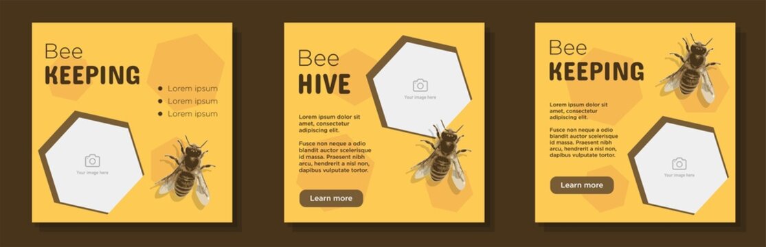 Bee keeping social media post, banner set, save the bees advertisement concept, yellow honeycomb, wasp fly insect content marketing square ad, abstract print, isolated on background