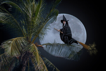 witch on a broom with the moon in the background