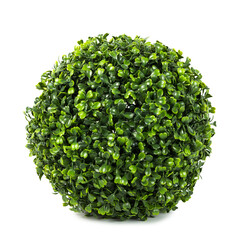 Artificial boxwood ball topiary bush tree - obrazy, fototapety, plakaty