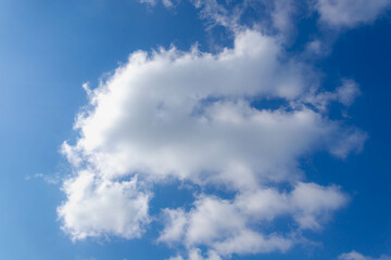 Beautiful white fluffy cloud floating in blue sky in sunny day, Cumulus are clouds which have flat bases and are often described as puffy, Horizon nature background with free copy space.