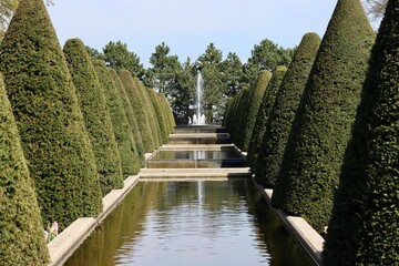 Conic shaped yew trees and long pool with fountain at the far end. Keukenhof gardens