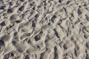 Sand with footprints on North sea beach on a sunny summer day, for background