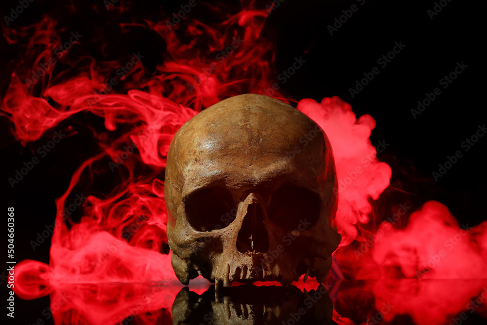 Wall mural human skull and smoke on black background