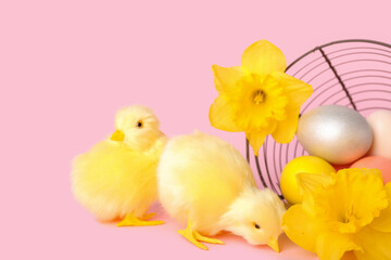 Cute yellow chickens, overturned basket with Easter eggs and flowers on pink background