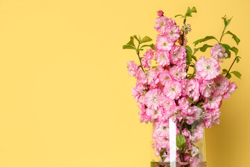 Glass vase with blooming branches near yellow wall, closeup