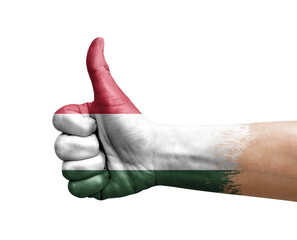 Hand making thumb up painted with flag of hungary