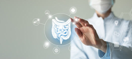 Unrecognizable female doctor holding graphic virtual visualization model of Intestine organ in...