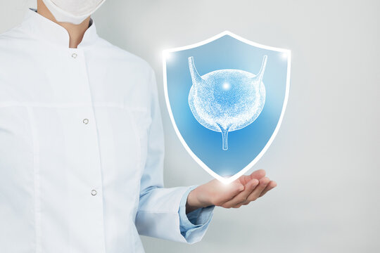 Unrecognizable female doctor holding shield and graphic virtual visualization of Bladder organ in hands.