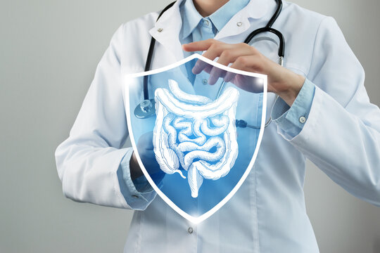Unrecognizable female doctor holding shield and graphic virtual visualization of Intestine organ in hands.