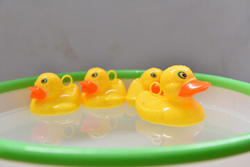 The plastic duck toys  on white background