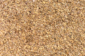 Pecan or walnut shell mulch spread on the ground. Close up.