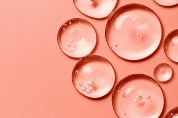 Oil drops on salmon pink rose color background. Clear liquid cosmetic product macro. Serum gel...