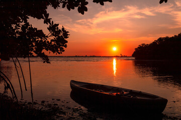 Kayak boat at sunset on the beach mangroves landscape