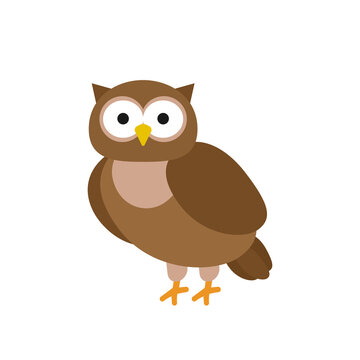 cute cartoon owl vector flat illustration