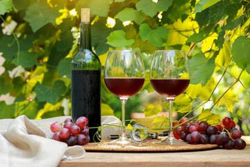 Cold red wine in wine glass and wine bottle with fruits grape trees in morning nature background on...