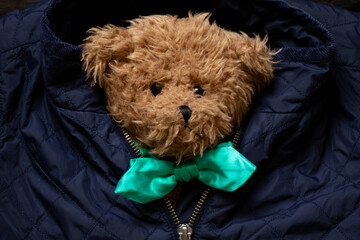 A brown teddy bear in a bow tie lies in a blue jacket under the lock, fashion