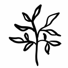 vegetation elements,flowers,doodles,linear black outline drawing,dried flower,forest flowers,shrubs,branches,zigzags,drops,wavy lines,illustration,botany,floristry,graphic drawing