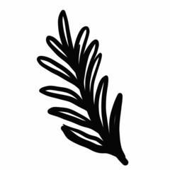 Fototapeta na wymiar vegetation elements,flowers,doodles,linear black outline drawing,dried flower,forest flowers,shrubs,branches,zigzags,drops,wavy lines,illustration,botany,floristry,graphic drawing