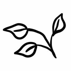 vegetation elements,flowers,doodles,linear black outline drawing,dried flower,forest flowers,shrubs,branches,zigzags,drops,wavy lines,illustration,botany,floristry,graphic drawing