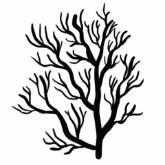 Obraz premium vegetation elements,flowers,doodles,linear black outline drawing,dried flower,forest flowers,shrubs,branches,zigzags,drops,wavy lines,illustration,botany,floristry,graphic drawing
