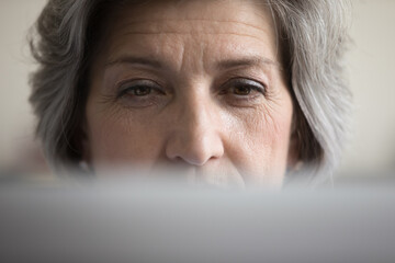 Focused mature grey haired computer user woman looking at laptop screen close up. Upper face of...