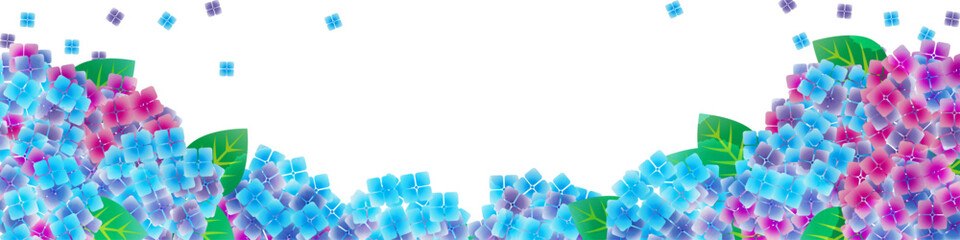 夏　雨期　紫陽花ヘッダーイラスト © Ｅ Ｎ