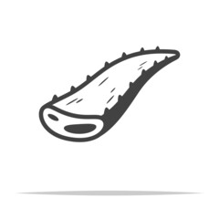 Aloe vera leaf icon transparent vector isolated