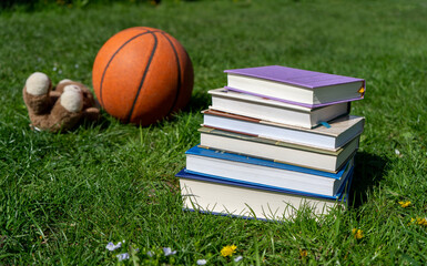 ooks on green grass, ball and toy in the background. Education kids concept.