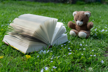 Open book on green grass, little teddy bear in the background. Education kids concept. Fantasy or fairy tale book