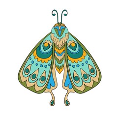 Vector isolated image of a fantasy insect that looks like a moth.