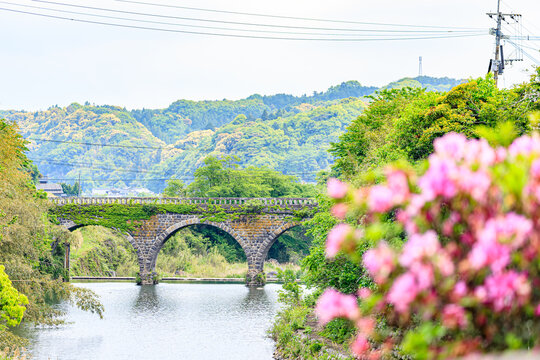 分寺橋とつつじ　大分県宇佐市　Buji bridge and azalea. Ooita Usa city.