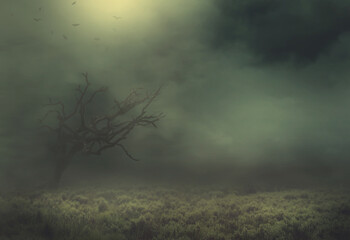 Hintergrundbild dunkel mit Nebel im Mondlicht 