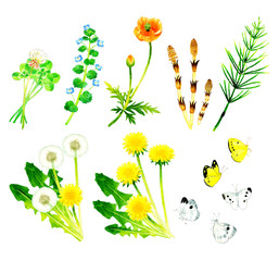 春の草花の水彩イラストセット　　シロツメクサ、オオイヌノフグリ、ナガミヒナゲシ、つくし、タンポポ、蝶