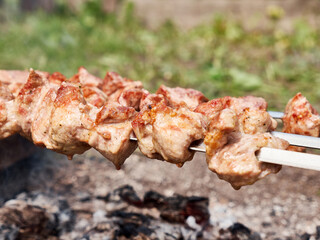 Cooking meat skewers on an open fire. Summer vacation outside the city.