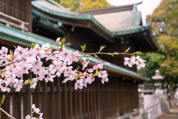 Fototapeta na wymiar 長崎街道木屋瀬宿にある 須賀神社 