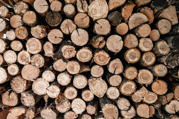 Photography on theme big wall of stacked oak tree logs in cracks