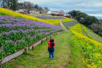マザー牧場の景色