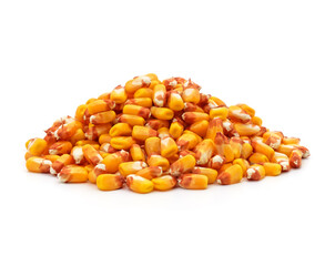 Yellow corn grains.