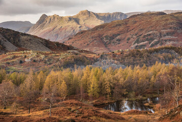 Majestic landscape image of stunning Autumn sunset light across Langdale Pikes looking from Holme Fell in Lake District